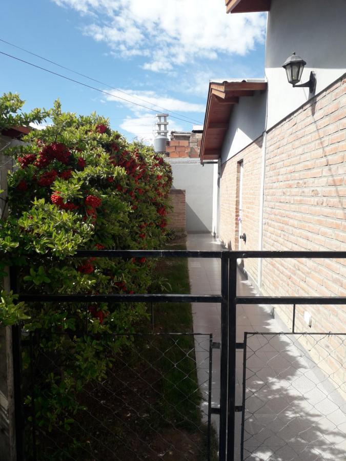 Choiques Madryn * Puerto Madryn